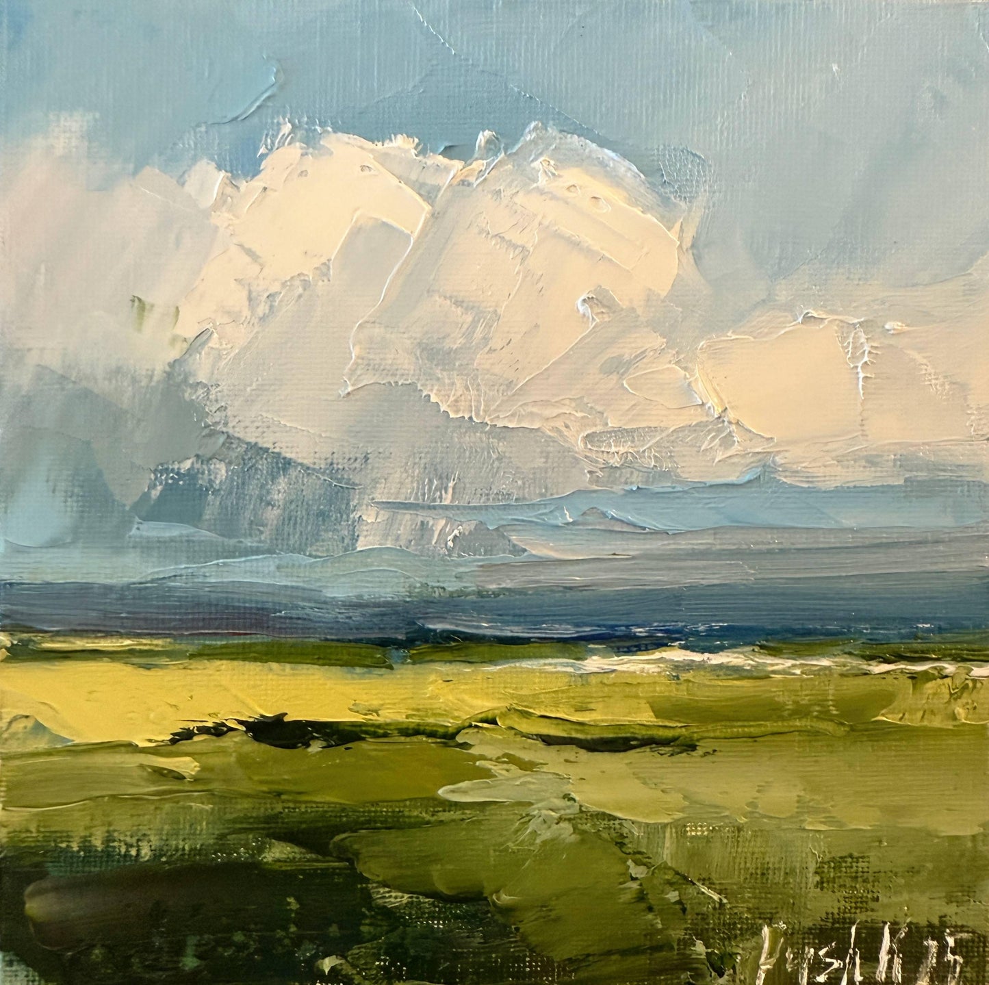 Summer Meadow