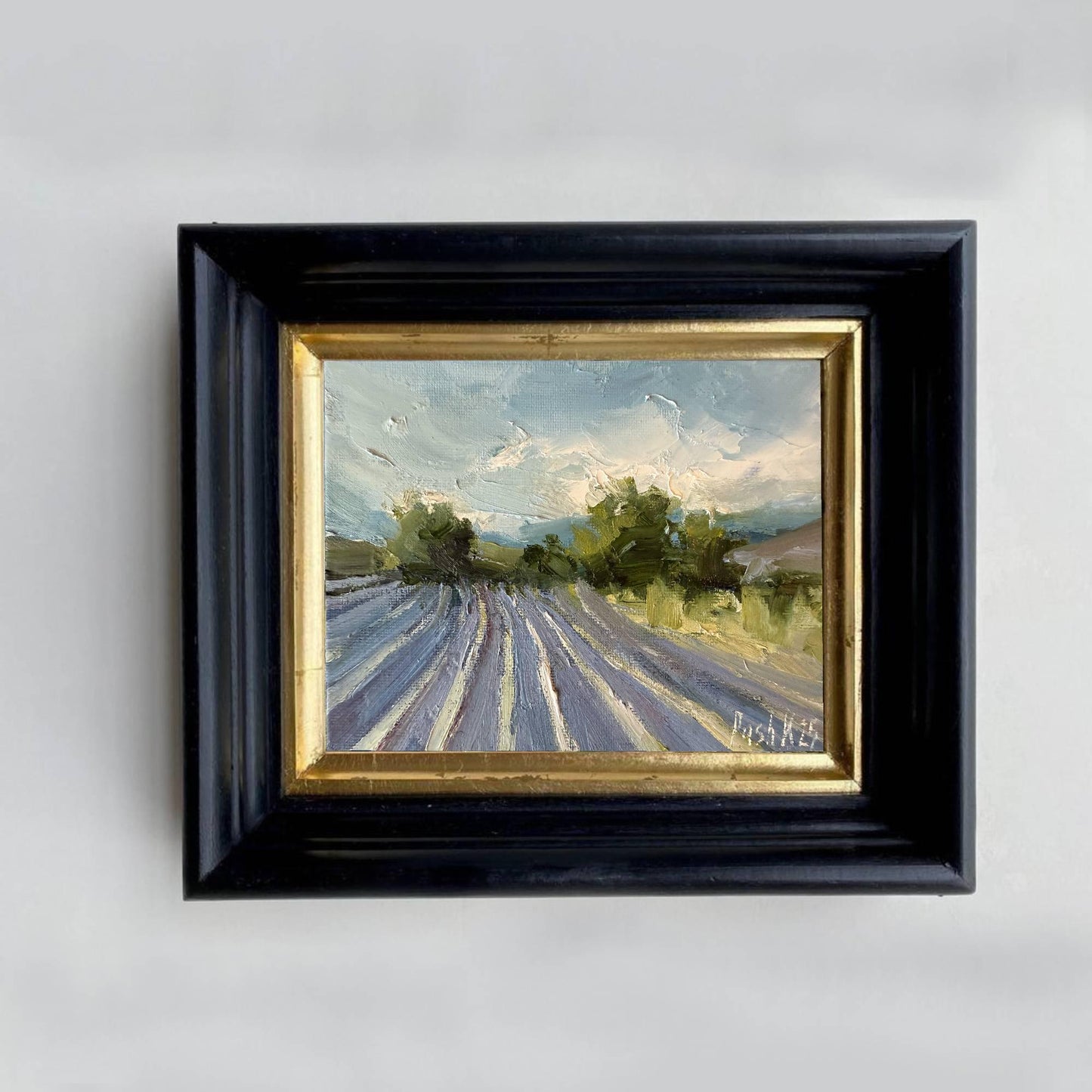 lavender Fields