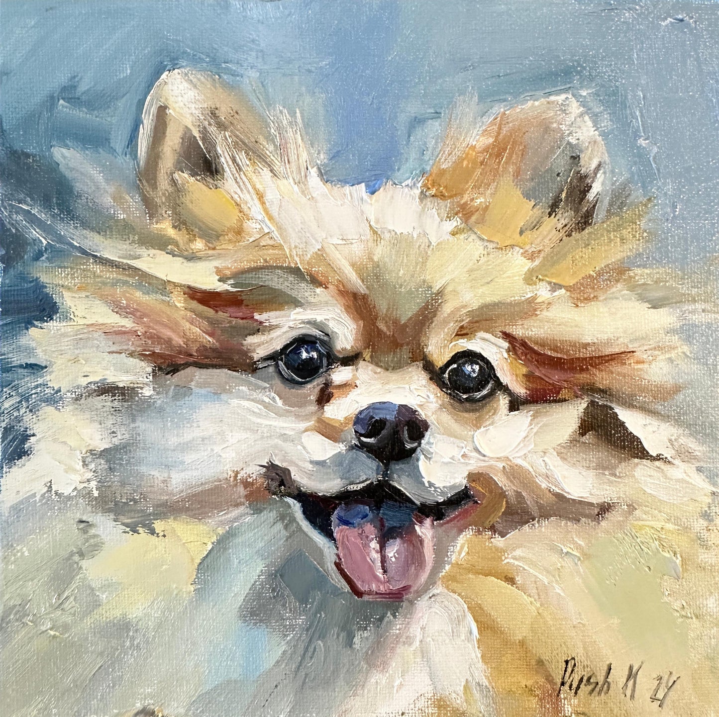 Pomeranian Spitz