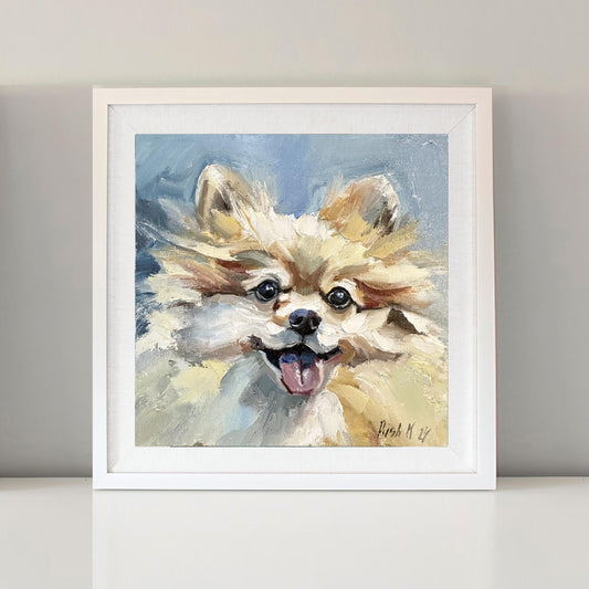 Pomeranian Spitz