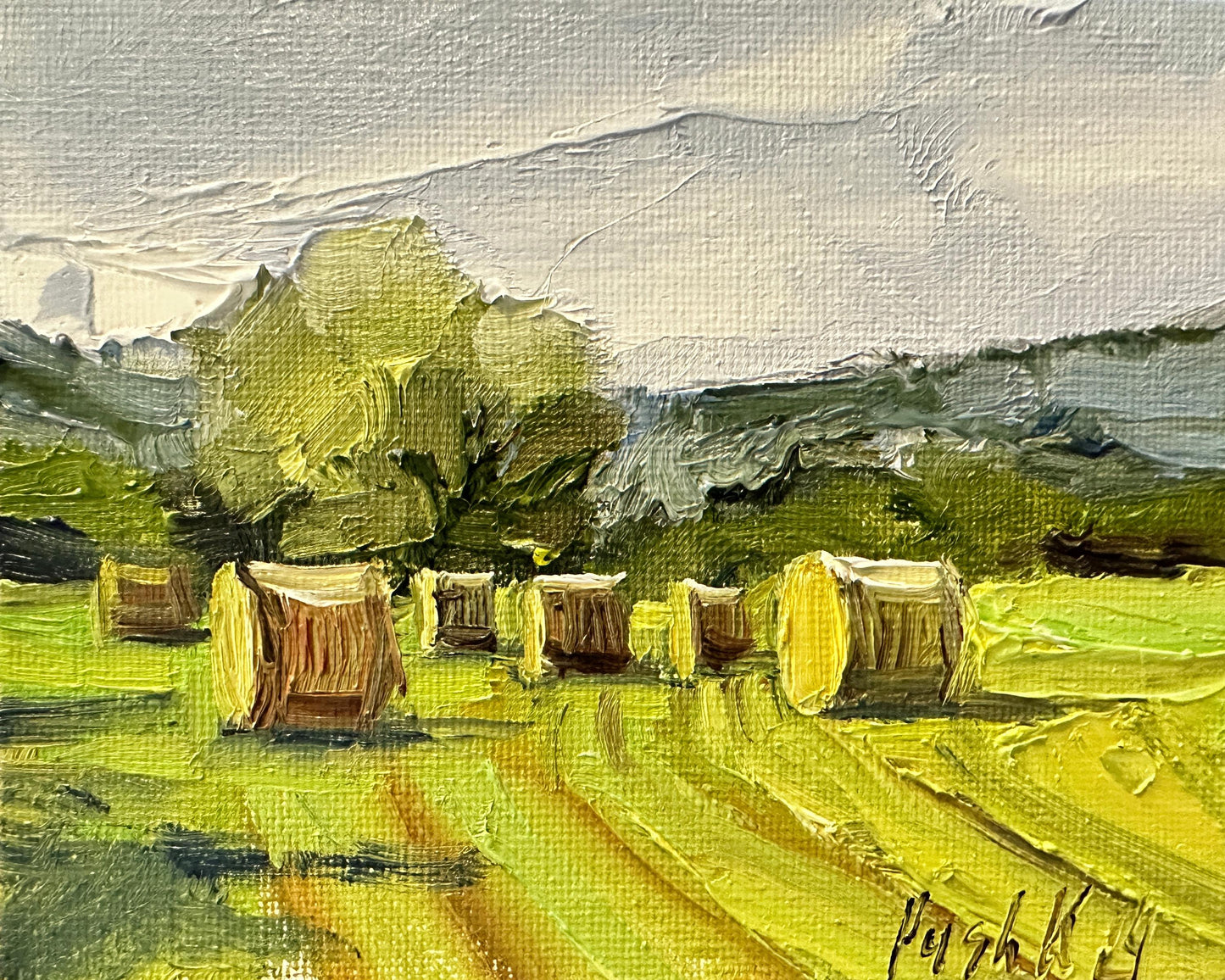 Autumn Field