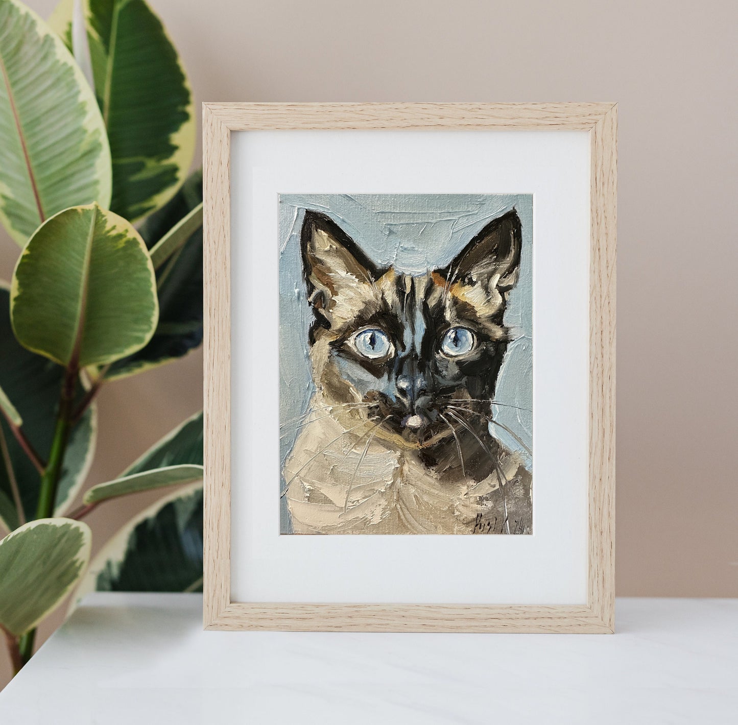 Siamese Cat