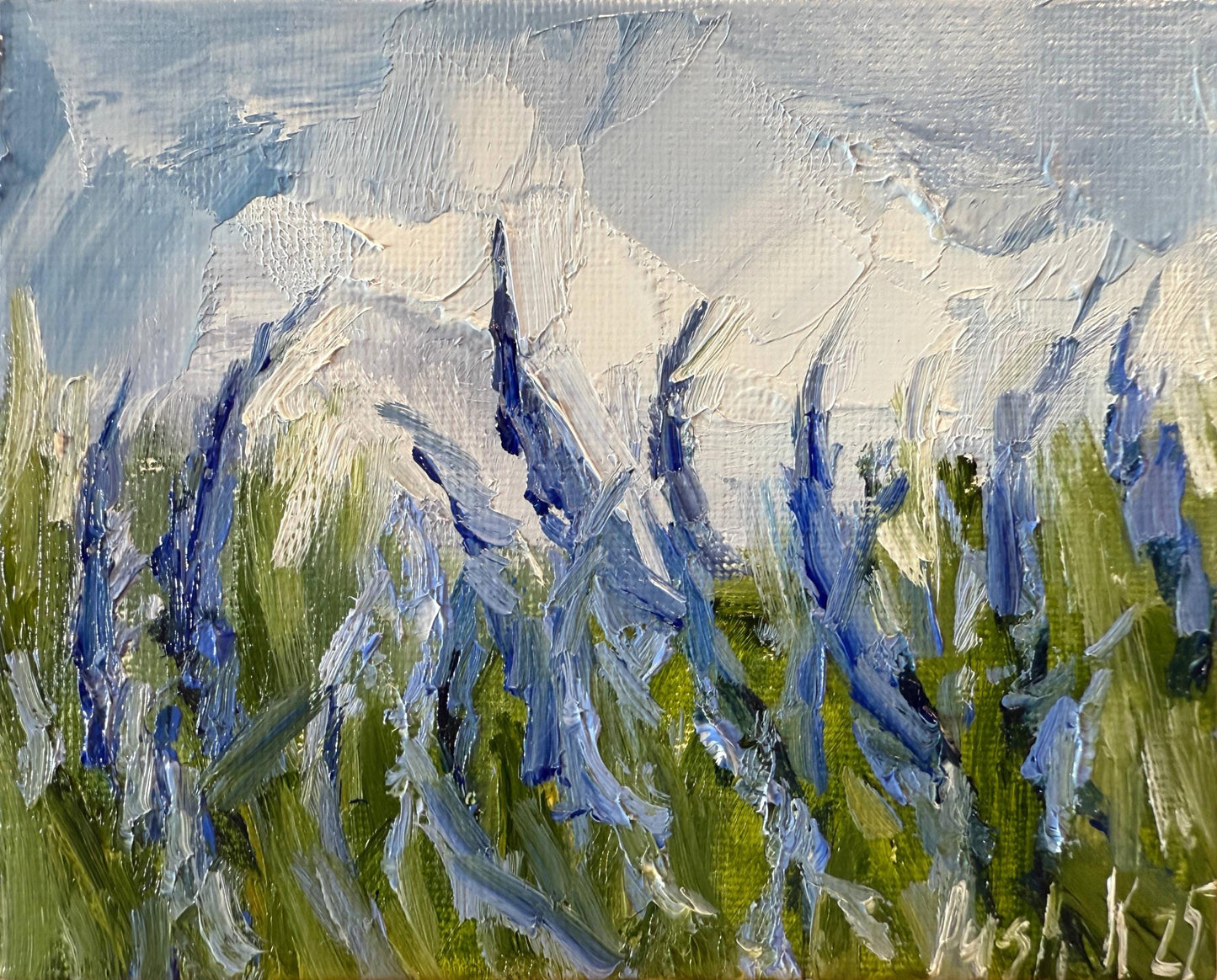 Lupine
