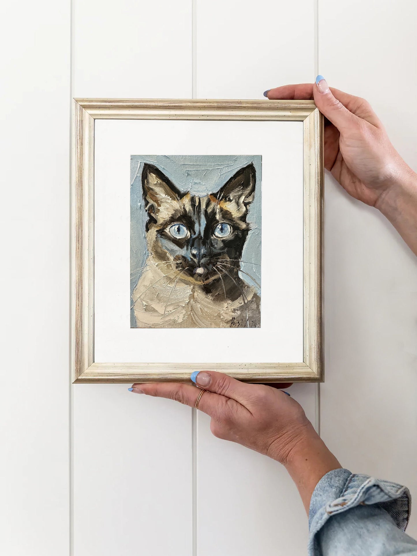 Siamese Cat