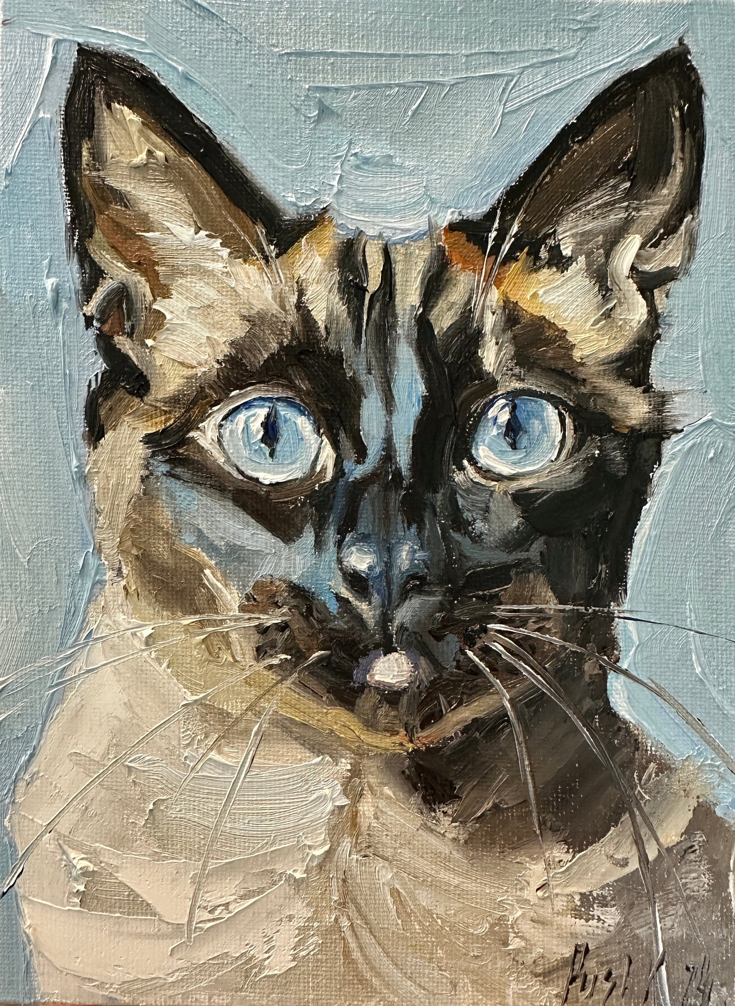 Siamese Cat
