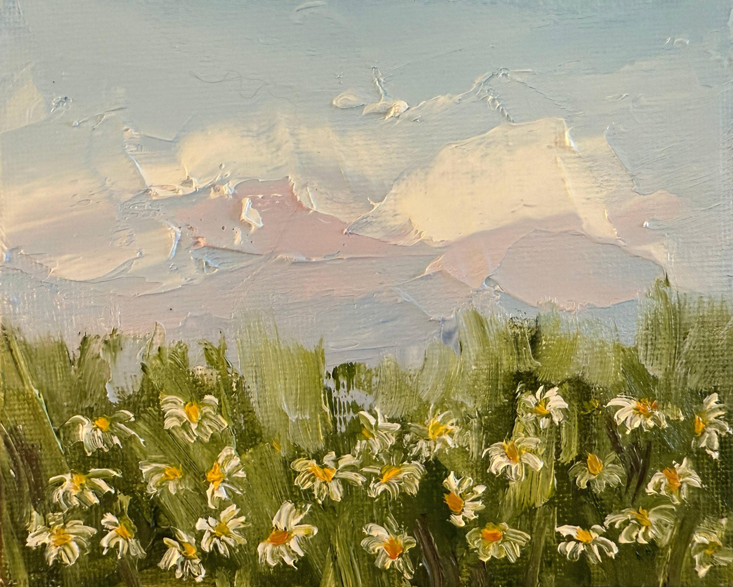 Daisy