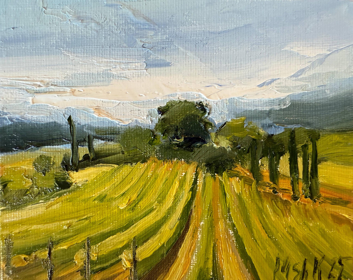 Countryside