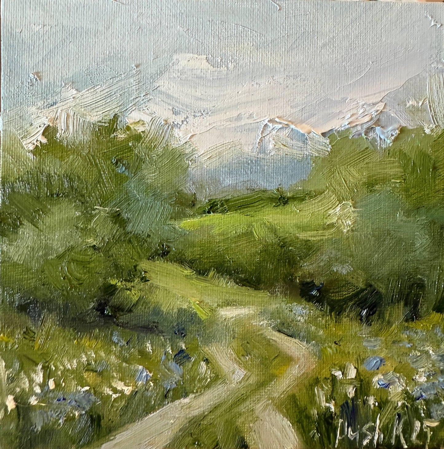 Spring Wildflower Signed Oil Painting On Canvas Landscape Minature Painting Original Impressionist Art Meadow Mini Painting Colorful Wallart